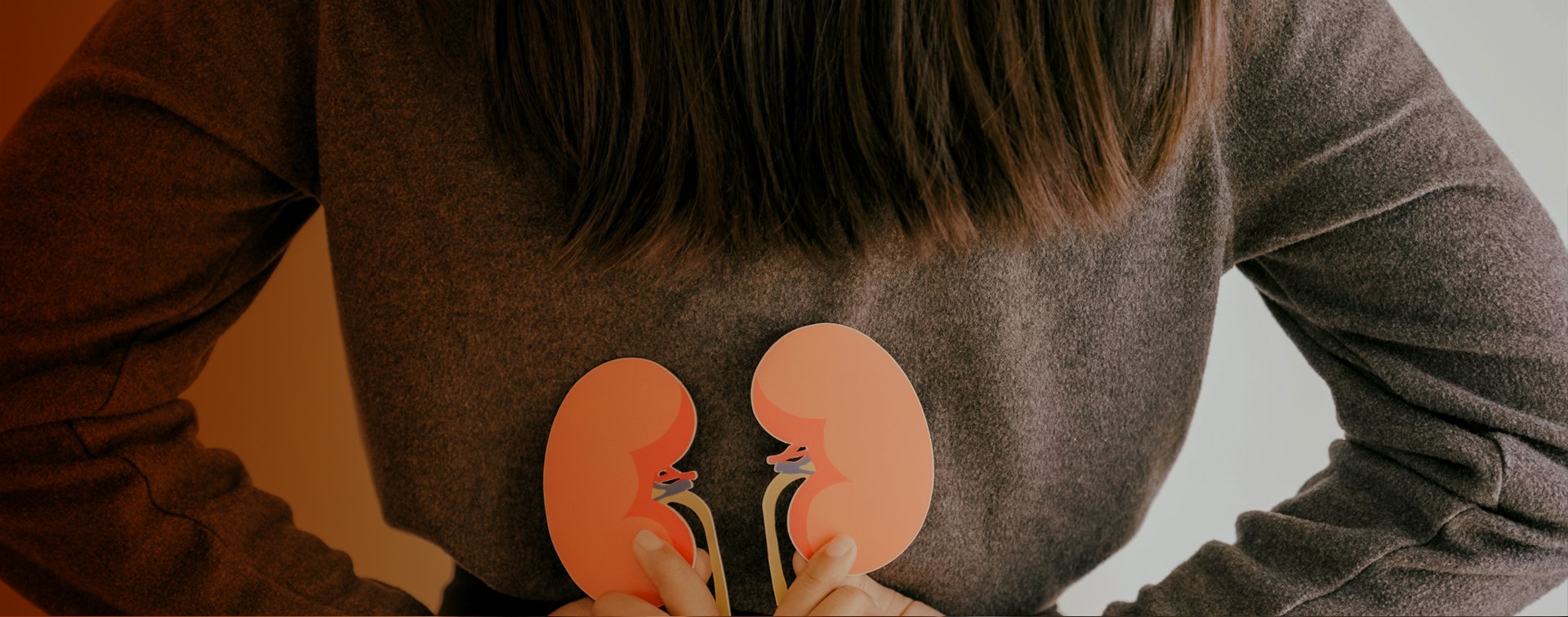 Person håller modeller av två njurar bakom ryggen.