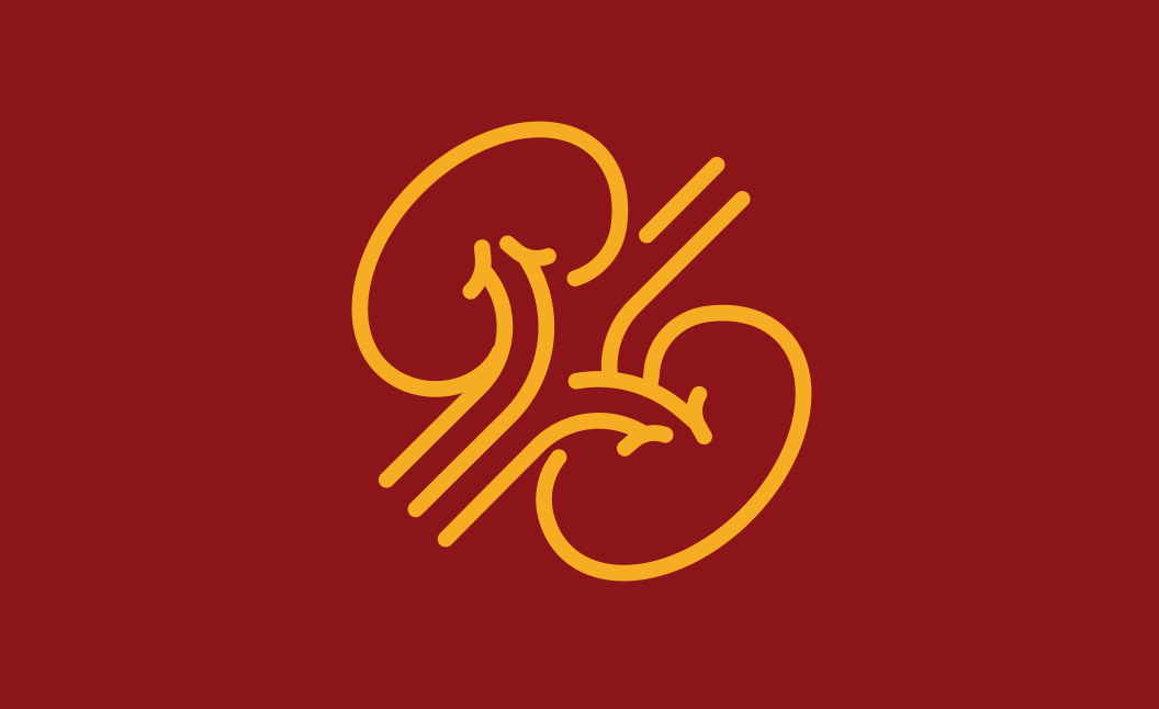 Illustration av två njurar.